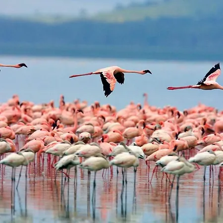 Casa Natura Carabassi *